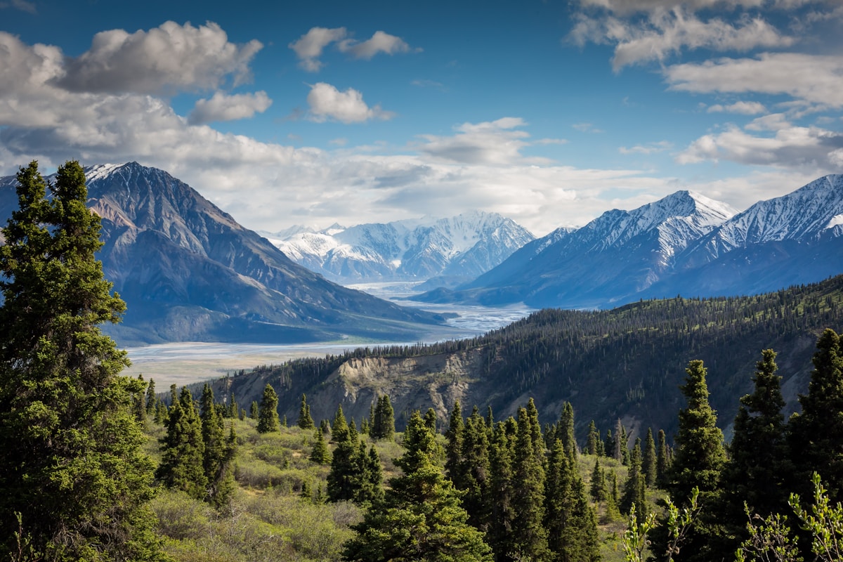 Yellowstone